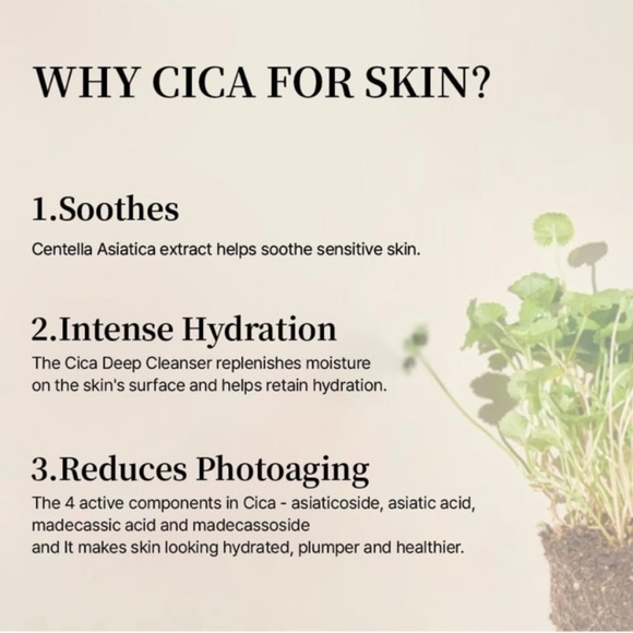 Brand new sealed mixsoon Soondy Centella
Essence 50 ml/1.69 fluid - Picture 3 of 8